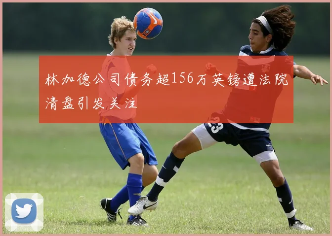 林加德公司债务超156万英镑遭法院清盘引发关注